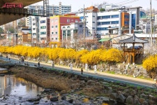4월이 가기 전 꼭 찾아야 하는 이곳! 홍제폭포·연희숲속쉼터 | 서울시 - 내 손안에 서울 4월이 가기 전 꼭 찾아야 하는 이곳! 홍제폭포·연희숲속쉼터