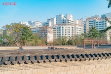 종로둘레길로 걸어보자 | 서울시 - 내 손안에 서울 조선시대 왕이 궁보다 먼저 세운 곳, 사직단! 종로둘레길로 걸어보자