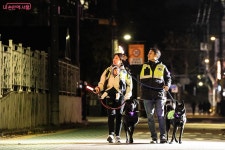 위풍댕댕! 동네 지키는 서울 반려견순찰대 신규대원 모집 | 서울시 - 내 손안에 서울 위풍댕댕! 동네 지키는 서울 반려견순찰대 신규대원 모집