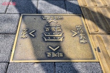 상춘객 설레게 하는 필동로 벚꽃길! 복잡한 관광 명소 대신 여유롭게... 상춘객 설레게 하는 필동로 벚꽃길! 복잡한 관광 명소 대신 여유롭게 즐겨요~