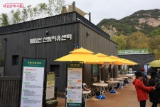 이번 주말은 불암산 힐링타운 철쭉제로~ | 서울시 - 내 손안에 서울 벚꽃 가고 철쭉 왔다! 이번 주말은 불암산 힐링타운 철쭉제로~