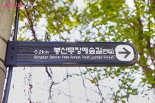 봉산 편백나무 치유의 숲·무장애숲길 | 서울시 - 내 손안에 서울 부담 없지만 만족도 최고! 봉산 편백나무 치유의 숲·무장애숲길 