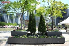 서울광장, 자연과 쉼이 있는 시민들의 정원으로 재탄생 | 서울시 - 내 손안에 서울 21년 만! 서울광장, 자연과 쉼이 있는 시민들의 정원으로... 