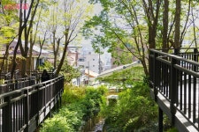 봉산 편백나무 치유의 숲·무장애숲길 | 서울시 - 내 손안에 서울 부담 없지만 만족도 최고! 봉산 편백나무 치유의 숲·무장애숲길 