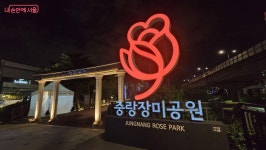 장미의 계절인 5월에 중랑 서울장미축제로 가볼까요? | 서울시 - 내 손안에 서울 장미의 계절인 5월에 중랑 서울장미축제로 가볼까요?