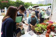 도시농업으로 녹색힐링 하세요…서울도시농업박람회 개최 | 서울시 - 내 손안에 서울 도시농업으로 녹색힐링 하세요…서울도시농업박람회 개최