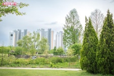 5월에는 푸른수목원과 항동철길 걸어요 | 서울시 - 내 손안에 서울 봄 산책 코스로 추천! 5월에는 푸른수목원과 항동철길 걸어요 