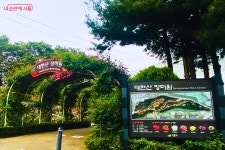 또 하나의 빼놓을 수 없는 장미 명소 대현산 장미원 | 서울시 - 내... 서울 꽃길만 걷게 해줄게! 또 하나의 빼놓을 수 없는 장미 명소 대현산 장미원 