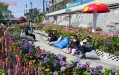 봄날의 완벽한 산책, 별빛내린천 따라 수국정원, 북페스타, 순대타운! | 서울시 - 내 손안에 서울 봄날의 완벽한 산책, 별빛내린천 따라... 