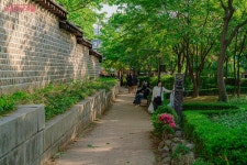 전통과 현대가 만난 핫플, 서순라길 | 서울시 - 내 손안에 서울 요즘 서울에서 가장 힙한 동네?! 전통과 현대가 만난 핫플, 서순라길