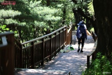 가장 안전하고 여유있게 즐기는 방법 (ft.보행자 데크) | 서울시 - 내 손안에 서울 남산을 가장 안전하고 여유있게 즐기는 방법 (ft.보행자 데크)