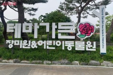 100여 품종의 장미 향기에 취하는 하루! ‘서울대공원 장미원·식물원 축제’ | 서울시 - 내 손안에 서울 100여 품종의 장미 향기에 취하는 하루!... 