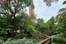 장충단공원에서 국립극장까지, 장충단 문화예술 산책 | 서울시 - 내 손안에 서울 장충단공원에서 국립극장까지, 장충단 문화예술 산책