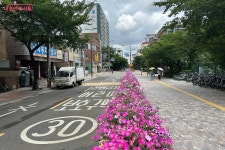 신월동 걷고 싶은 거리를 넘어 누구나 찾고 싶은 거리로 새 단장 | 서울시 - 내 손안에 서울 신월동 걷고 싶은 거리를 넘어 누구나 찾고 싶은... 