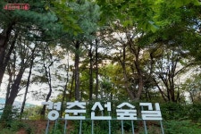 산책하기 좋은 곳을 찾는다면? 인생샷 성지 경춘선숲길 | 서울시 - 내 손안에 서울 산책하기 좋은 곳을 찾는다면? 인생샷 성지 경춘선숲길
