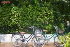 도심 정원 강동구 파믹스가든에서 일상의 여유 느껴요! | 서울시 - 내 손안에 서울 도심 정원 강동구 파믹스가든에서 일상의 여유 느껴요! 