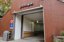 도심 속 작은 아마존, 암사생태공원에서 힐링 보물 찾기 | 서울시 - 내 손안에 서울 도심 속 작은 아마존, 암사생태공원에서 힐링 보물 찾기