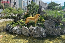 강변북로 진입부에 댕댕이 공원 생겼다! 반려견과 작은 정원에 온 기분~ | 서울시 - 내 손안에 서울 강변북로 진입부에 댕댕이 공원 생겼다!... 