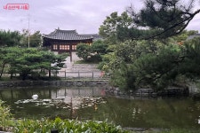 달빛 따라 걷는 시간 여행, 남산골한옥마을 야간투어 | 서울시 - 내 손안에 서울 달빛 따라 걷는 시간 여행, 남산골한옥마을 야간투어