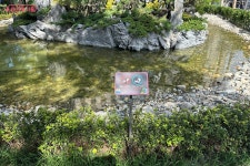 강변북로 진입부에 댕댕이 공원 생겼다! 반려견과 작은 정원에 온 기분~ | 서울시 - 내 손안에 서울 강변북로 진입부에 댕댕이 공원 생겼다!... 