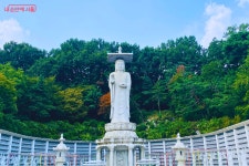 도심 속 천년 고찰! 봉은사에서 힐링하며 K-컬처 맛보기 | 서울시 - 내 손안에 서울 도심 속 천년 고찰! 봉은사에서 힐링하며 K-컬처 맛보기