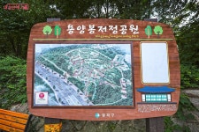 짧아서 더 아쉬운 이 계절, 놓치지 말아야 할 풍경 맛집 여기! | 서울시 - 내 손안에 서울 짧아서 더 아쉬운 이 계절, 놓치지 말아야 할 풍경 맛집... 