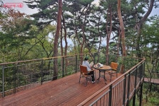 가을 남산, 새로 열린 하늘숲길로 걸어요! (ft. 노을전망대) | 서울시 - 내 손안에 서울 가을 남산, 새로 열린 하늘숲길로 걸어요! (ft. 노을전망대)