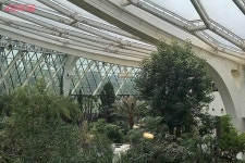 교육·체험·놀이 모두 가능~ | 서울시 - 내 손안에 서울 아이랑 가을 나들이는 서울식물원으로! 교육·체험·놀이 모두 가능~