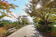 한강과 아차산을 한눈에…광진숲나루가 선사하는 가을산책 | 서울시 - 내 손안에 서울 한강과 아차산을 한눈에…광진숲나루가 선사하는 가을산책
