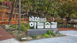 남산의 숲과 하늘이 맞닿다! 남산 하늘숲길 개장 | 서울시 - 내 손안에 서울 남산의 숲과 하늘이 맞닿다! 남산 하늘숲길 개장