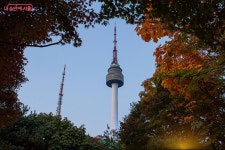 밤 산책도 안전하게! 새로운 야경 명소 남산 하늘숲길 탄생 | 서울시 - 내 손안에 서울 밤 산책도 안전하게! 새로운 야경 명소 남산 하늘숲길 탄생