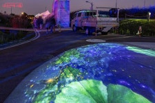 가을의 절정, 이곳에 피어나다! 억새·빛으로 물든 하늘공원 | 서울시 - 내 손안에 서울 가을의 절정, 이곳에 피어나다! 억새·빛으로 물든 하늘공원