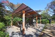 백범광장공원이 정답! | 서울시 - 내 손안에 서울 단풍놀이는 가고 싶지만 등산은 힘들다면? 백범광장공원이 정답!