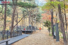 가을의 선물 같은 순간 불암산 힐링타운 산책 | 서울시 - 내 손안에 서울 놓치면 1년 후회! 가을의 선물 같은 순간 불암산 힐링타운 산책