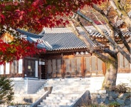 작가공방 체험, 힐링 클래스…서울공예박물관 4주년 행사 풍성 | 서울시 - 내 손안에 서울 작가공방 체험, 힐링 클래스…서울공예박물관 4주년... 