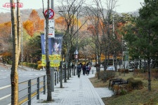 길치도 문제 없어! 요즘 핫한 용마산 스카이워크 가는 길 | 서울시 - 내 손안에 서울 길치도 문제 없어! 요즘 핫한 용마산 스카이워크 가는 길