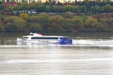 서울의 여백을 선물한 스무 살의 서울숲을 거닐다 | 서울시 - 내 손안에 서울 서울의 여백을 선물한 스무 살의 서울숲을 거닐다