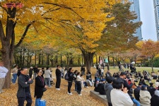 황금빛 은행나무 아래에서 펼쳐진 ‘스무살의 서울숲’ 축제 참여기 | 서울시 - 내 손안에 서울 황금빛 은행나무 아래에서 펼쳐진 ‘스무살의... 