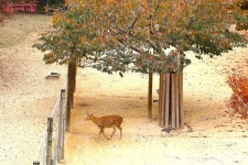서울의 여백을 선물한 스무 살의 서울숲을 거닐다 | 서울시 - 내 손안에 서울 서울의 여백을 선물한 스무 살의 서울숲을 거닐다