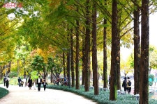 서울의 여백을 선물한 스무 살의 서울숲을 거닐다 | 서울시 - 내 손안에 서울 서울의 여백을 선물한 스무 살의 서울숲을 거닐다