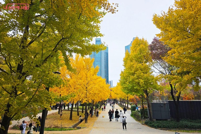 서울숲 사진 7