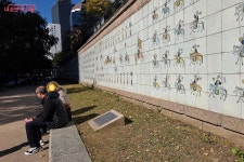 서울 도심 속 생태 오아시스, 청계천의 가을 | 서울시 - 내 손안에 서울 서울 도심 속 생태 오아시스, 청계천의 가을