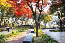 힐링·명상·체력단련 사계절 가능한 무장애 탐방로 남산 하늘숲길... 서울 힐링·명상·체력단련 사계절 가능한 무장애 탐방로 남산 하늘숲길 열려