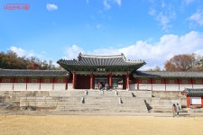 경희궁서 즐긴 K-가을 | 서울시 - 내 손안에 서울 여유롭고 한적한 궁궐 산책, 여기가 좋겠네! 경희궁서 즐긴 K-가을