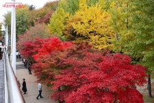 서울의 여백을 선물한 스무 살의 서울숲을 거닐다 | 서울시 - 내 손안에 서울 서울의 여백을 선물한 스무 살의 서울숲을 거닐다