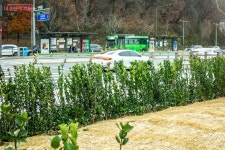 수(水)준 높게 달라지는 서울 생활, 구파발천 수변활력거점 산책하기 | 서울시 - 내 손안에 서울 수(水)준 높게 달라지는 서울 생활, 구파발천... 