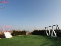 금빛으로 일렁이는 하늘공원! 철새들의 휴식처 된 겨울 억새 명소 | 서울시 - 내 손안에 서울 금빛으로 일렁이는 하늘공원! 철새들의 휴식처 된... 