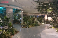 마음껏 예뻐질 수 있는 자유, DDP B the B에서 누리다! | 서울시 - 내 손안에 서울 마음껏 예뻐질 수 있는 자유, DDP B the B에서 누리다!