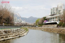 우이천 벚꽃길 수변쉼터 생겼다 | 서울시 - 내 손안에 서울 서울물빛나루 19호는 이곳! 우이천 벚꽃길 수변쉼터 생겼다