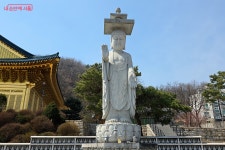 금빛 사찰 수국사 구경하고 봉산 산책까지 | 서울시 - 내 손안에 서울 이색 나들이 코스 추천! 금빛 사찰 수국사 구경하고 봉산 산책까지